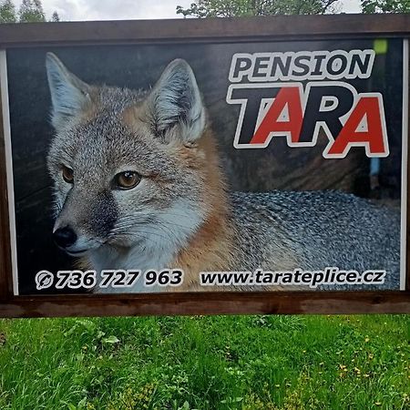 Pension Tara Teplice nad Metují Esterno foto