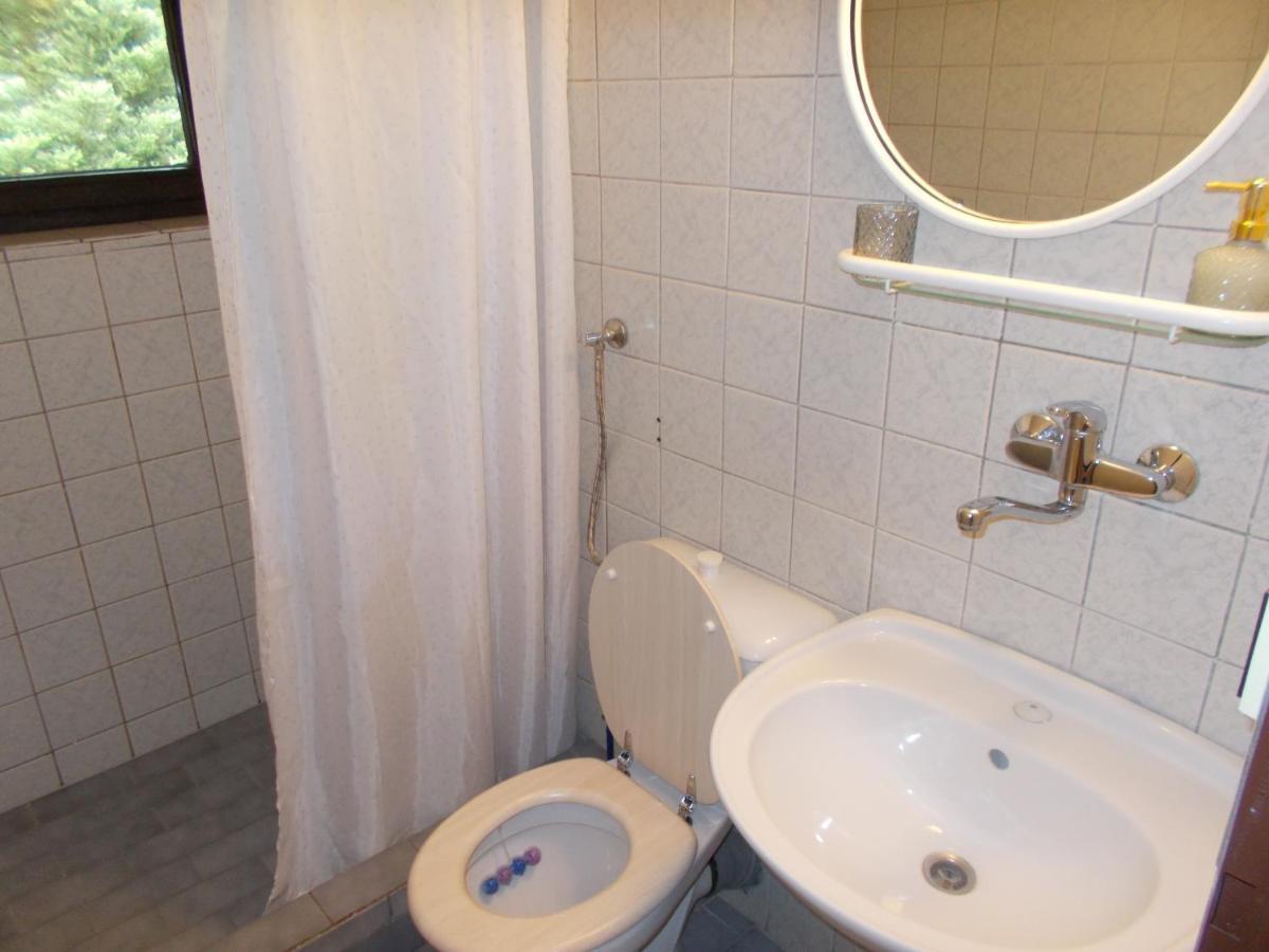 Pension Tara Teplice nad Metují Esterno foto